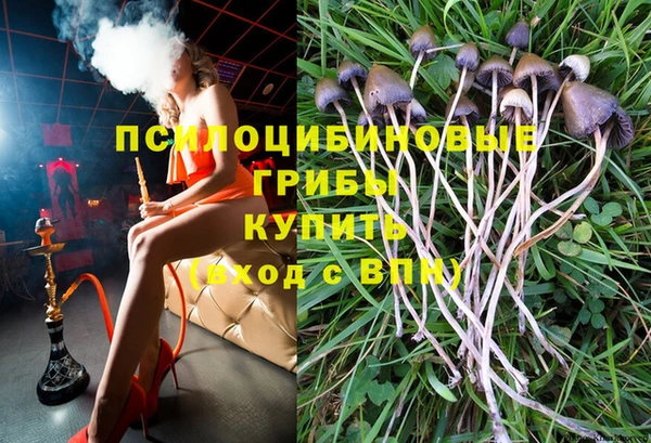 скорость Горнозаводск